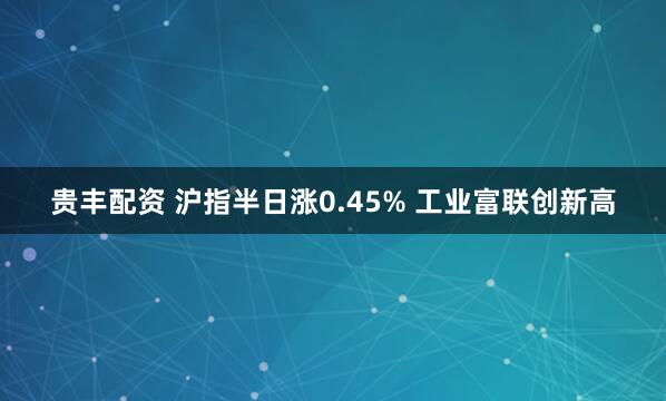 贵丰配资 沪指半日涨0.45% 工业富联创新高