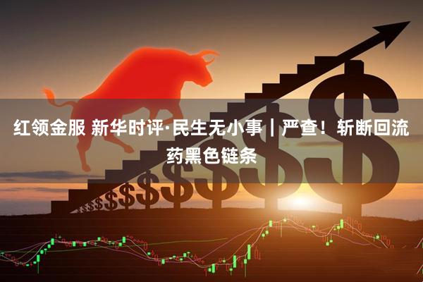 红领金服 新华时评·民生无小事｜严查！斩断回流药黑色链条