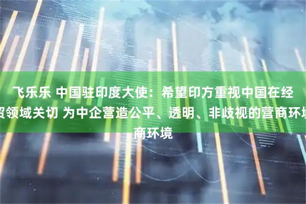 飞乐乐 中国驻印度大使：希望印方重视中国在经贸领域关切 为中企营造公平、透明、非歧视的营商环境