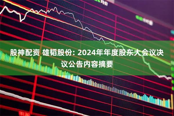 股神配资 雄韬股份: 2024年年度股东大会议决议公告内容摘要
