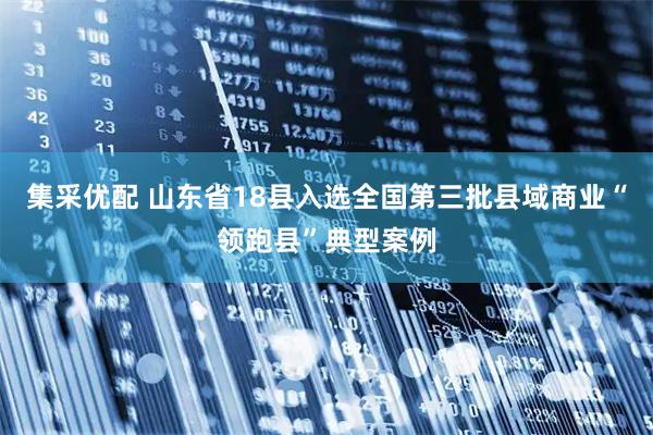 集采优配 山东省18县入选全国第三批县域商业“领跑县”典型案例